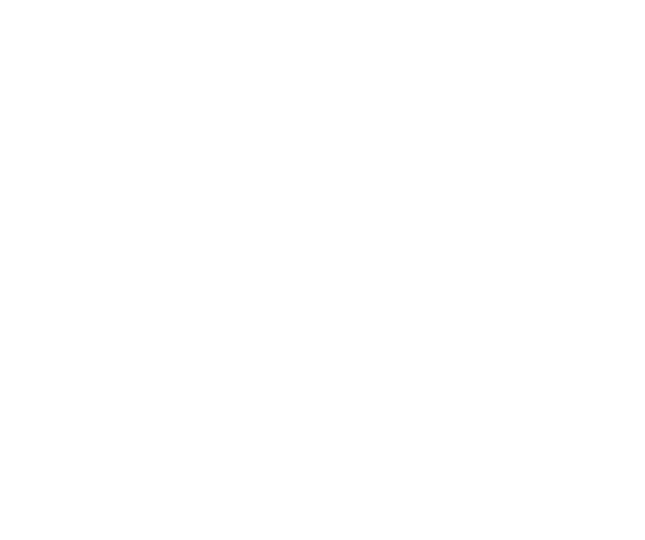 logo wordpress – création site web pour professionnels de l’automobile