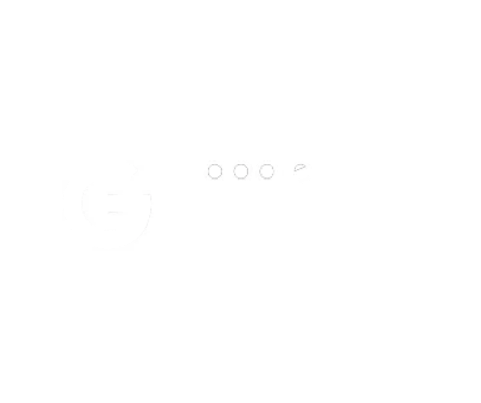 logo google partner – agence google ads spécialisée automobile